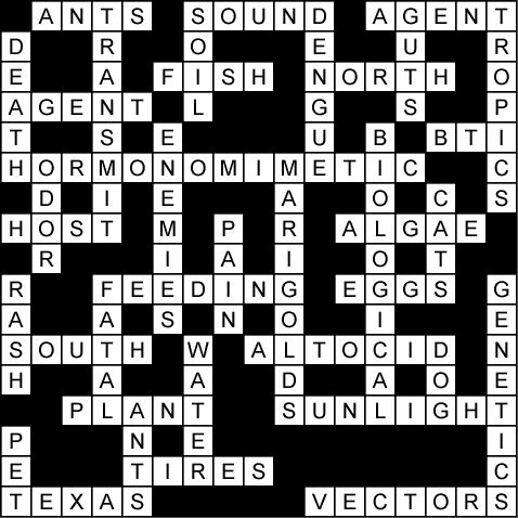 Crossword Puzzles on Behind The Crossword   Review Fix